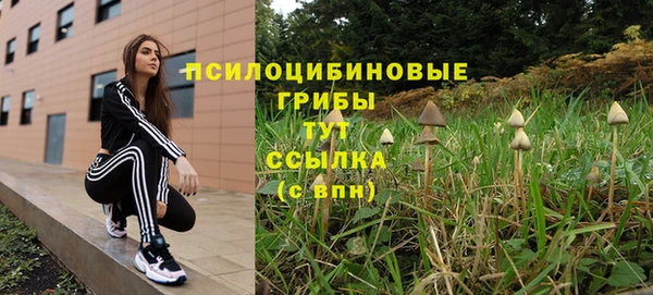 ешки Дмитриев
