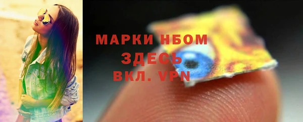 ешки Дмитриев