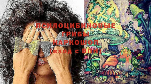 ешки Дмитриев