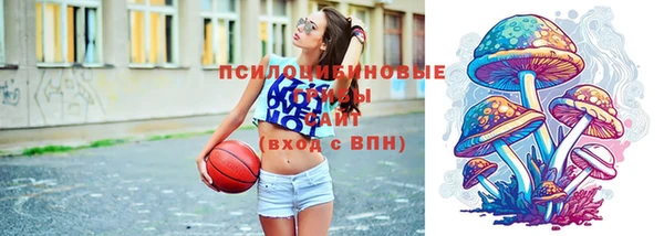 прущая мука Гусиноозёрск