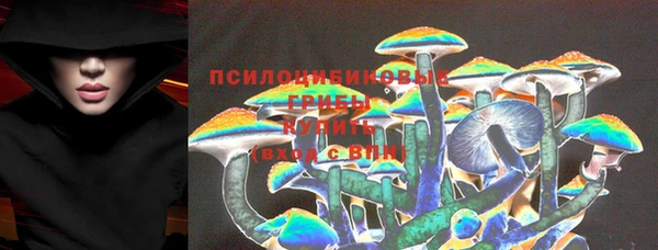 дживик Гусь-Хрустальный